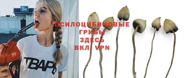 гидропоника Арсеньев