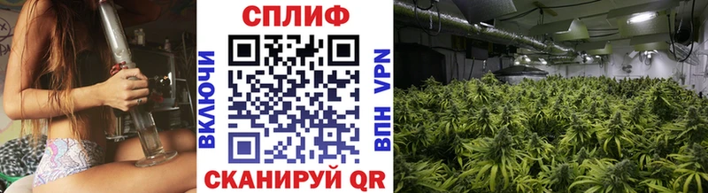 Марихуана Ganja  Купить закладки  Сухиничи 